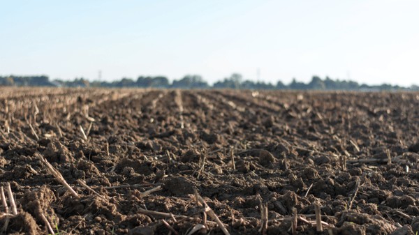 poor fertilizer treatment can reduce soil quality