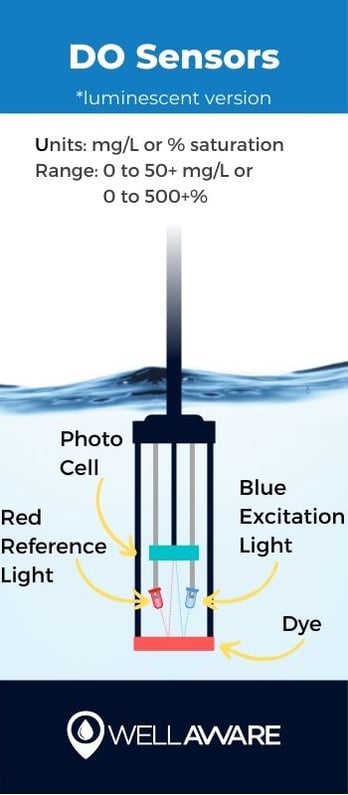 dissolved oxygen do sensor diagram